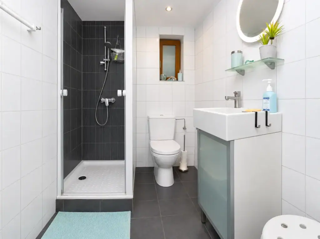 Shower and bathroom, Studio 1 Garden Level, Saint-Louis Alsace
