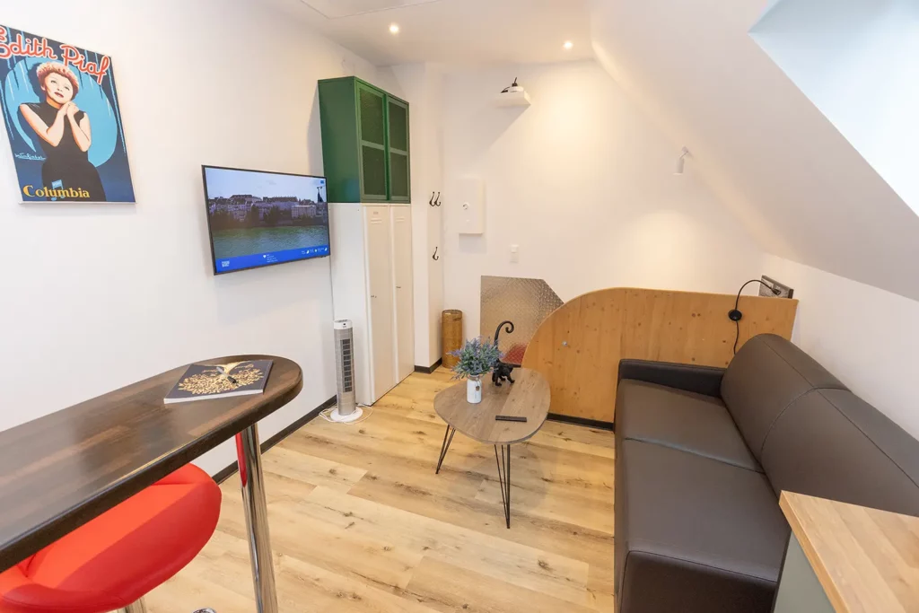 Studio 2 lounge area with leather sofa, Smart TV and vintage French poster — Saint-Louis Alsace