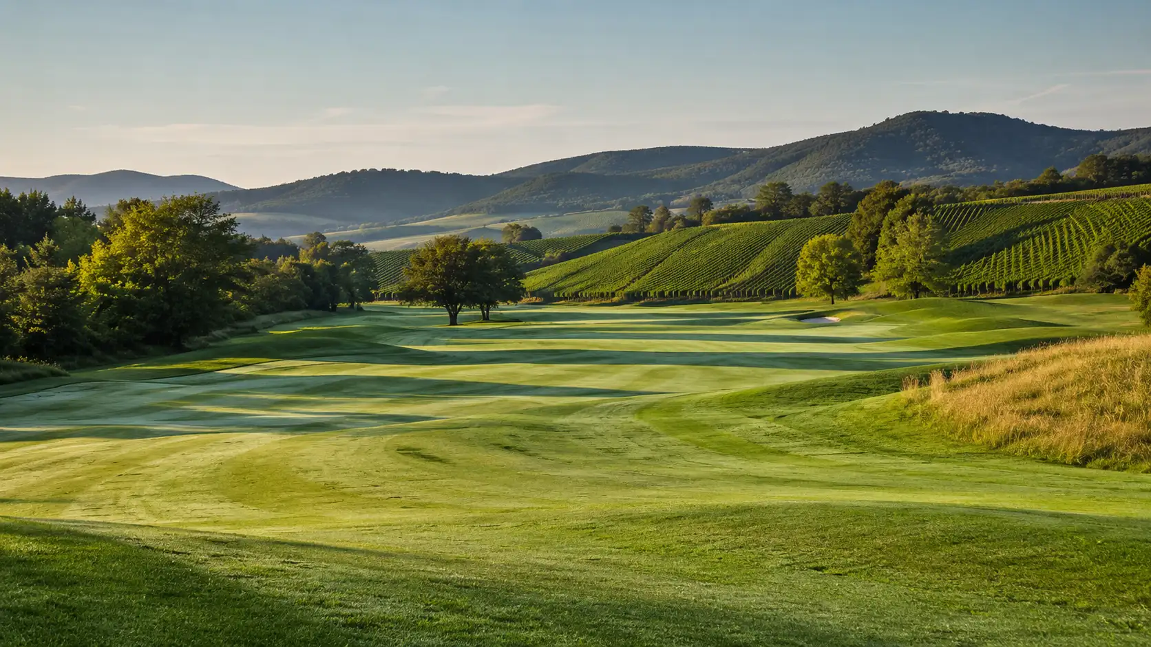 Golf course fairway surrounded by vineyard hills and forest near Basel, Alsace